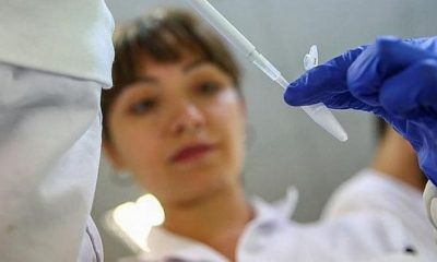 Türk bilim insanları 4 ölümcül virüs buldu