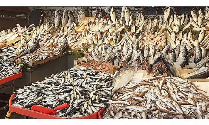 Gebze Bölgesinde balık fiyatları tavan yaptı!