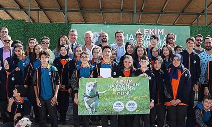 Gebkim’den Sokak Köpekleri için Anlamlı Çalışma!