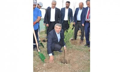 Dilovası’ndan “Geleceğe Nefes”