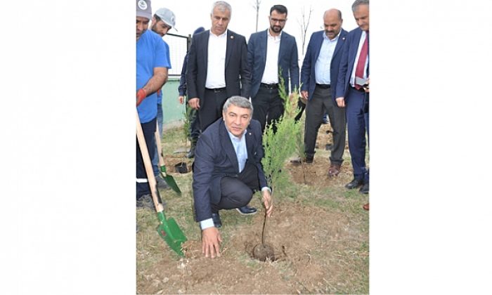 Dilovası’ndan “Geleceğe Nefes”