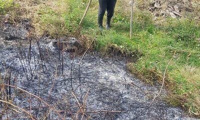 Tarlasındaki çalıları tutuştururken koca ormanı yaktı!