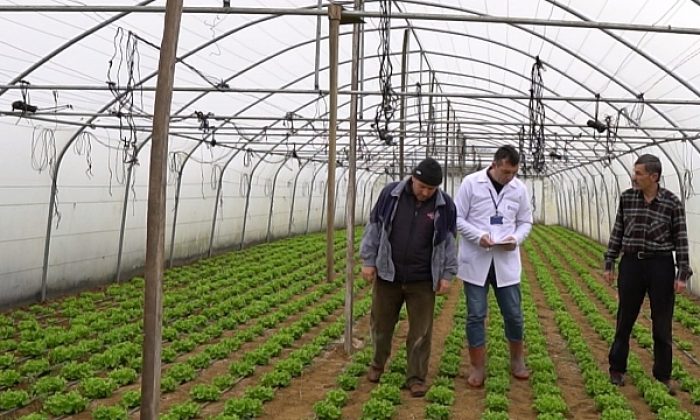Büyükşehir’den çiftçilere yüzde 50 hibeli sera desteği