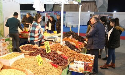 Kastamonu, Kocaeli’ye taşındı