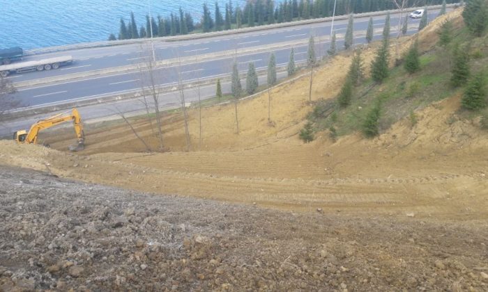 Toprak kayması yaşanan araziye 330 fidan