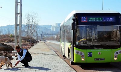 UlaşımPark’tan hayvanlara yardım eli