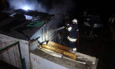 İzmit’te 4 balıkçı barınağı küle döndü