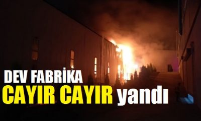 Dilovası’ndaki DEV fabrika cayır cayır yandı!