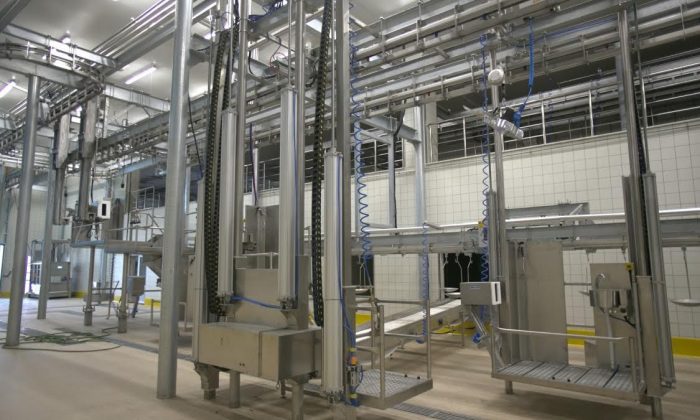 Modern mezbahalarda kurban kesimi için sıra dağıtımına başlanacak
