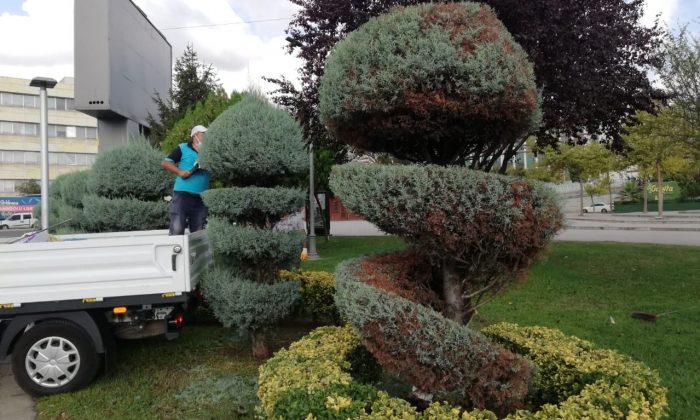 İzmit Anıtpark’ta form budaması yapılıyor