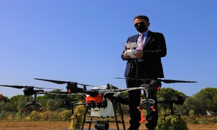 Tarım ve Orman Bakanı Bekir Pakdemirli drone ile tarla ilaçladı