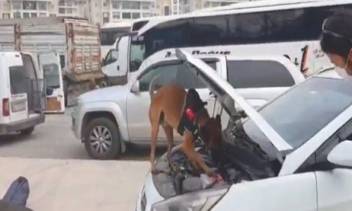 TEM’de durdurulan aracın LPG tankından 14 kilo 700 gram esrar çıktı