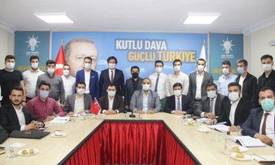 AK gençler 7 ilçede temayül yapacak