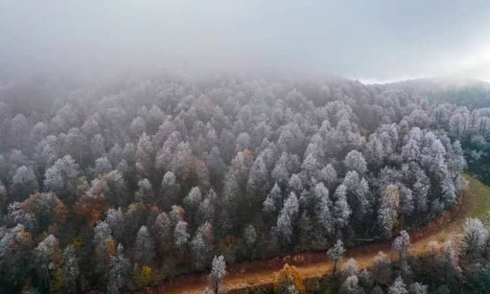 Kocaeli’ye yılın ilk karı düştü!