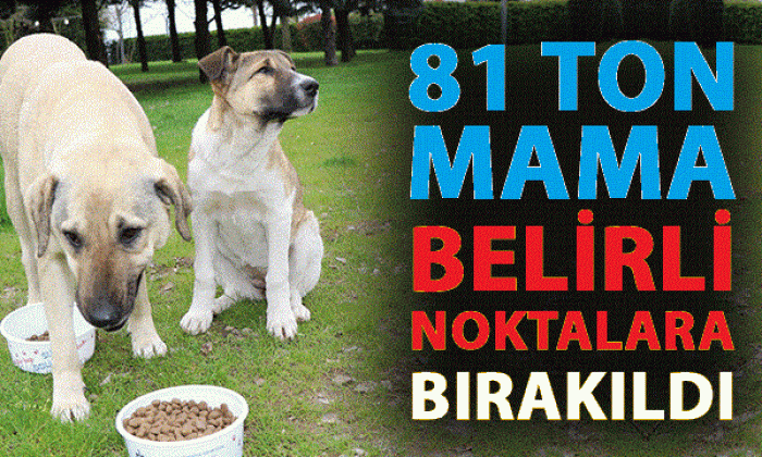 Başkan Büyükakın, “81 ton mamayı şehrin belli noktalarına dağıttık”