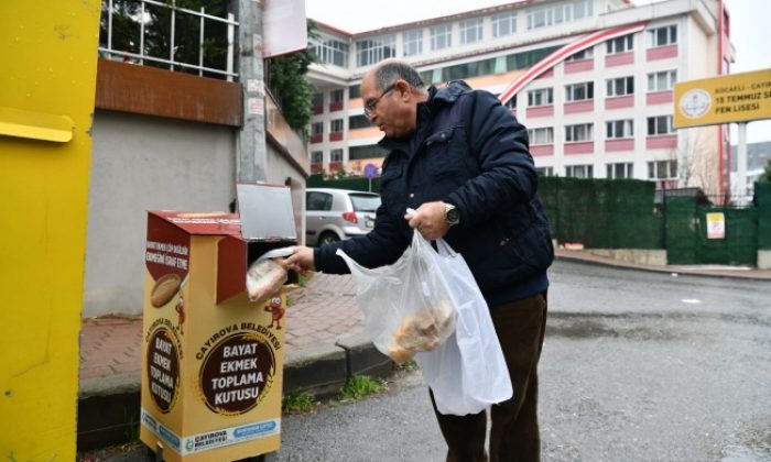 Başkan Çiftçi’den örnek girişim; Bayat ekmekler sokak hayvanlarına gidiyor