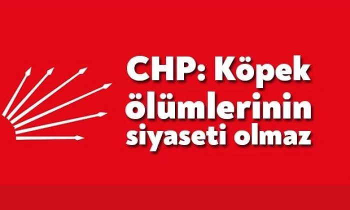 CHP’den açıklama; Köpek ölümlerinin siyaseti olmaz