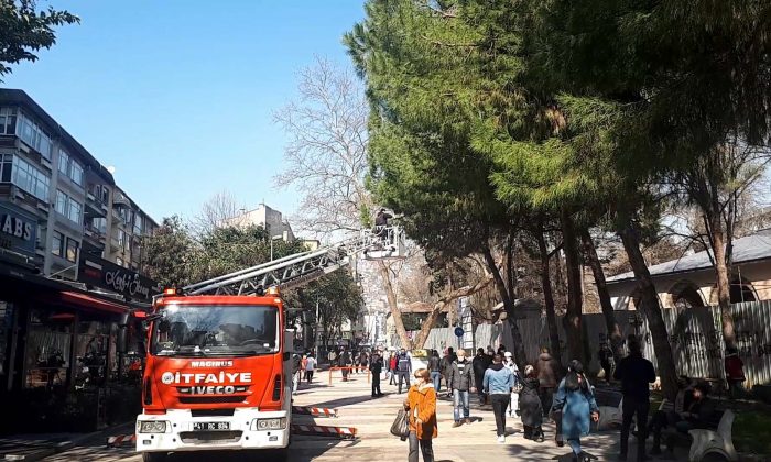 Ağaçta mahsur kalan kediyi itfaiye kurtardı