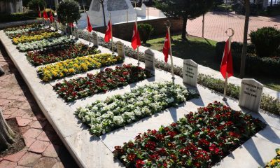 Kocaeli’de Şehitlikler çiçek açtı