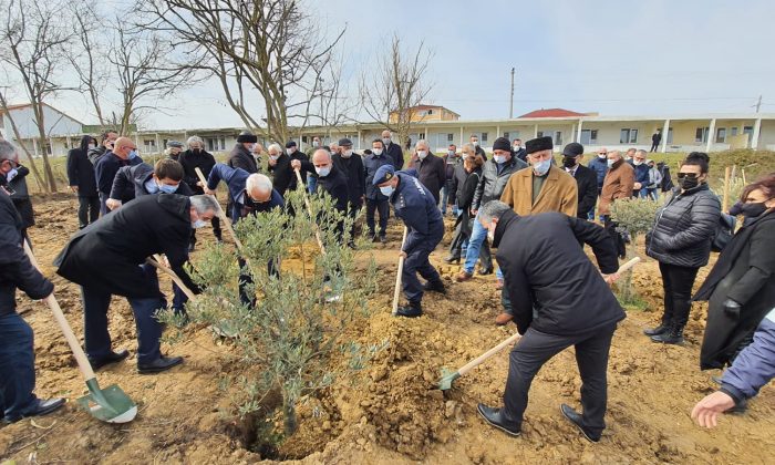 Babalı Sahili’ne anlamlı hatıra ormanı