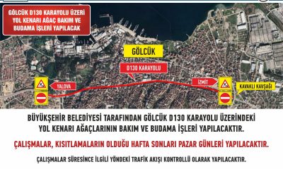 Gölcük D-130 Karayolu’nda ağaçlar budanacak