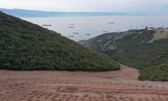 Hereke dolgu alanına 10 bin 500 ağaç dikildi