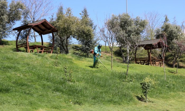 Körfez’de bahar temizliği
