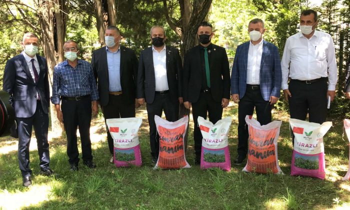 Doludan Tarlaları Zarar Gören Derince’li Çiftçilere Destek