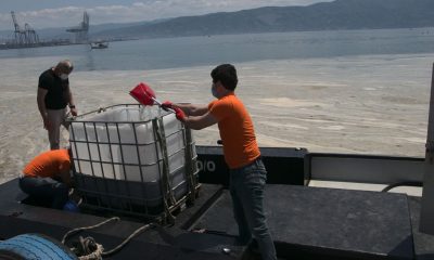 Tekneyle denize açılıp, küreklerle müsilaj topladılar