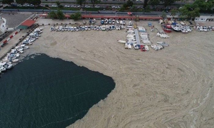 Deniz salyası için Meclis komisyonu