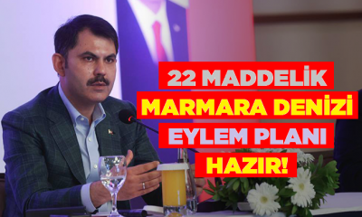 Marmara Denizi için 22 maddelik Acil Eylem Planı hazır!