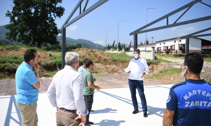 Sokaktaki Dostlarımız İçin Proje Yapımı Devam Ediyor