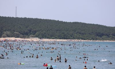 Sahillerde 2 Haftada 164 Kişi Boğulmaktan Kurtarıldı