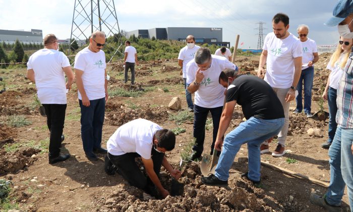 Hedef 1 Milyon m2’lik Ağaçlandırma Yapmak 