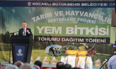 Kocaeli’de çiftçinin yüzü gülüyor