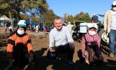 Kocaeli’de çiftçinin yüzü gülecek