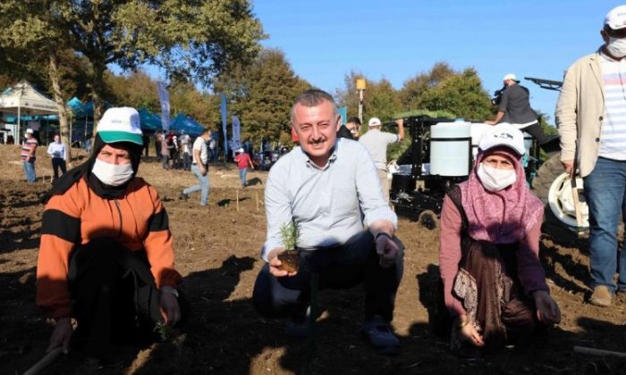 Kocaeli’de çiftçinin yüzü gülecek