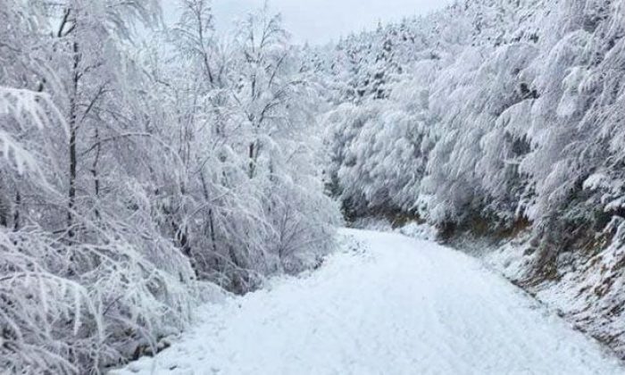Meteoroloji Kocaeli için tarih verdi, kar yağışı tekrar başlayacak!