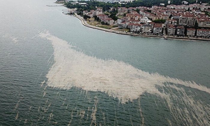 Bakan Açıkladı, Marmara Denizi hasta! Oksijeni azalıyor