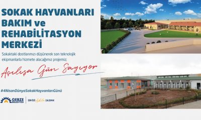 Gebze Belediyesi Sokak Hayvanları Bakım ve Rehabilitasyon Merkezi Açılış İlanı