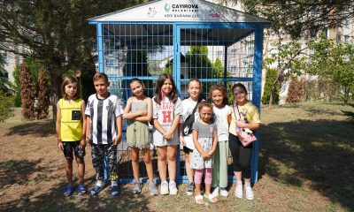 Çayırova Belediyesi’nden Sevimli dostlara büyük kedi evi!
