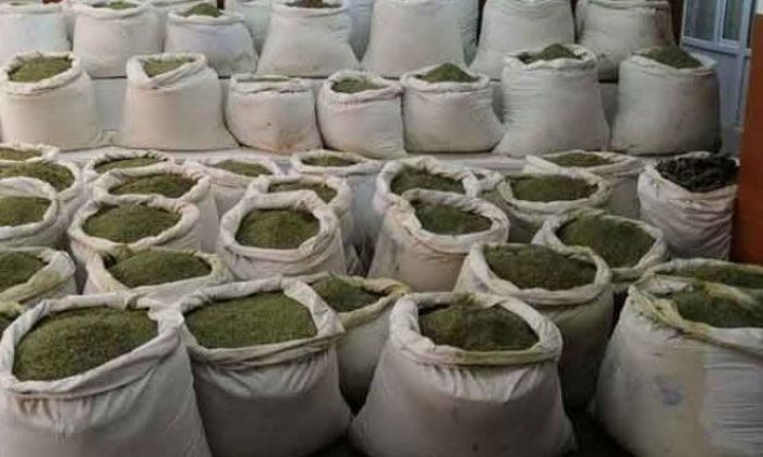 Kocaeli Valisi Yavuz Açıkladı,  30 ton esrar ele geçirildik!