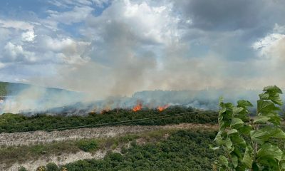 Gebze-Dilovası arasında Tavşanlı Köyü Civarındaki  Orman Yangın Söndürüldü!