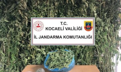 Torbacıların evine operasyon! Uyuşturucu ve silah ele geçirildi
