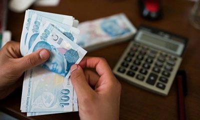 Ehliyet, pasaport, trafik cezaları… Artış oranları belli oldu