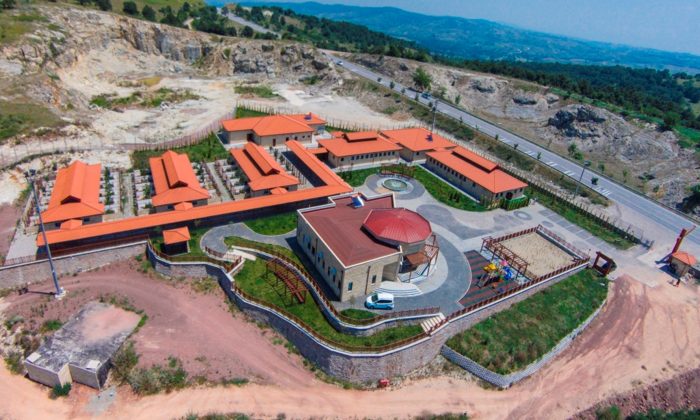 2022’de 4 bin 700 sokak hayvanı sıcak yuvaya kavuştu