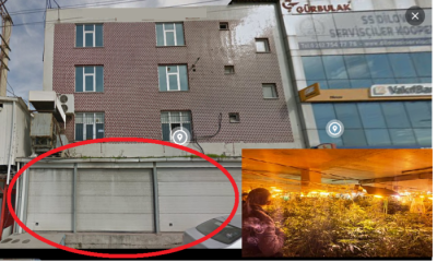 Dilovası’nda Emniyet baskın yaptı, Vali Yavuz paylaştı; Tam 500 Kök Kenevir,