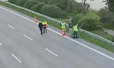 TEM Otoyolu Kocaeli Geçişi Ölüm Tarlası Gibi, Çürümüş Ceset Bulundu