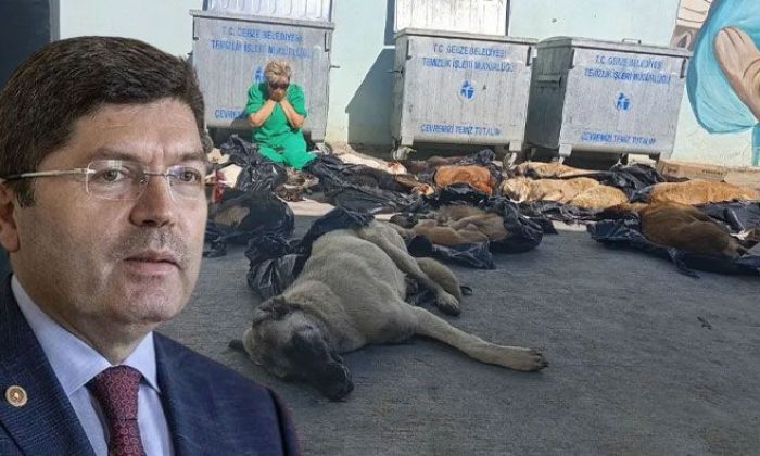 Adalet Bakanı Tunç; Gebze’deki köpek katliamına soruşturma başlattık dedi