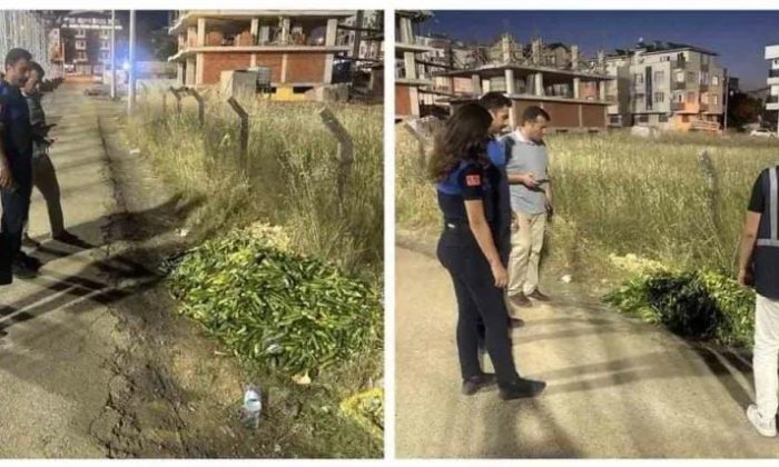Bakanlık, boş araziye salatalık dökene cezayı bastı!